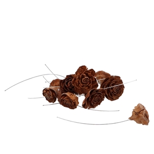 Nature Plug Cedar Roses Naturel On Wire Per 50