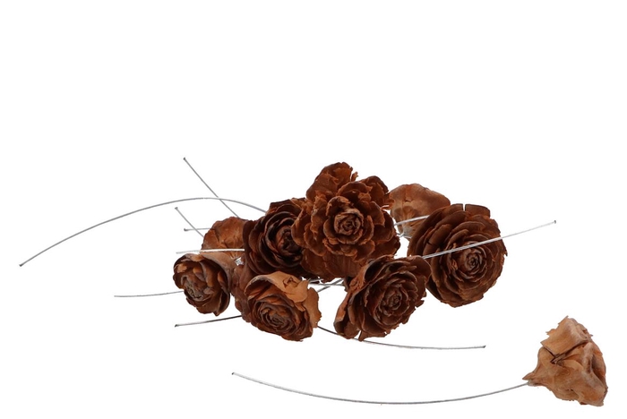 Nature Plug Cedar Roses Naturel On Wire Per 50