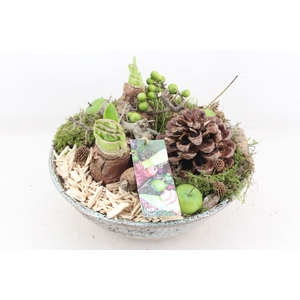 arr4 Amaryllis MB - Ker. luxe taps 401/2