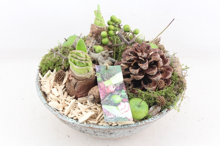 <h4>arr4 Amaryllis MB - Ker. luxe taps 401/2</h4>