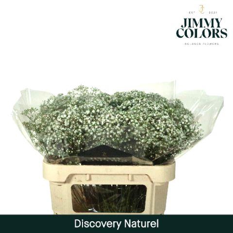 <h4>Gyps Discovery L70 Naturel</h4>