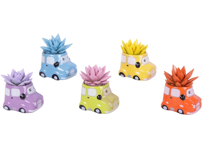 <h4>Thank you Teacher Arr. Succulent Ceramic Pot Car Ø09cm 1PP</h4>