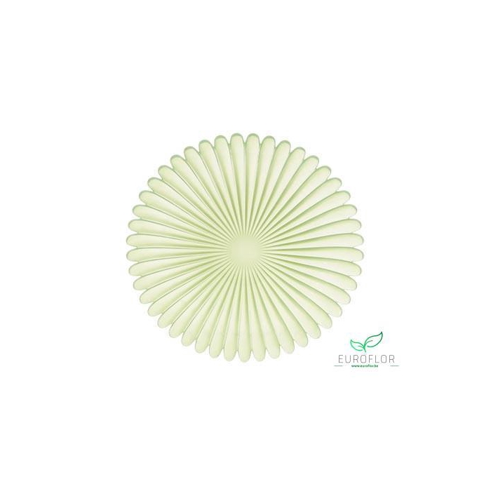 <h4>PLATE PETAL H1.5D27 PINK</h4>