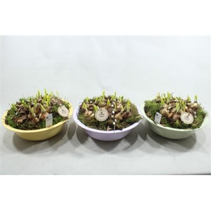 3824 XL ROND ZINK MINT