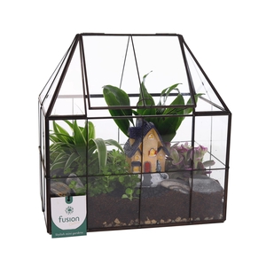 Metaal Geometrisch Medium planter met Terrarium