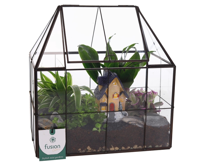 <h4>Metaal Geometrisch Medium planter met Terrarium</h4>