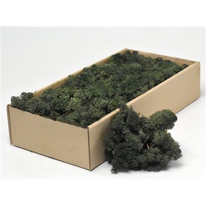 Rendiermos Pine Green 500gr.