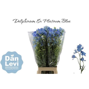 Delph En M Plat Blue 80cm