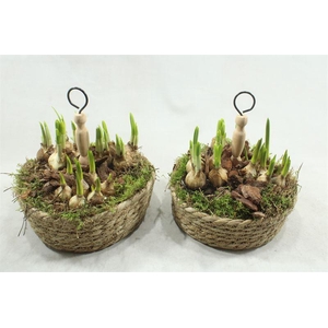 0360 MAND ETAGAIRE TETE