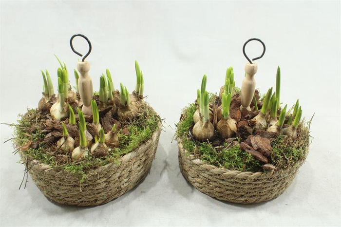 <h4>0360 MAND ETAGAIRE TETE</h4>