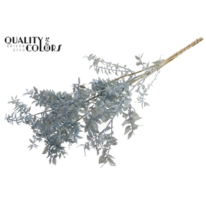 Ruscus 70cm 5 pc/bunch Intense Light Blue (2x5 bunch/poly)