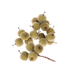 STEM APPLE 20 PCS L10D3 PER DOOS GREEN 20 STUKS