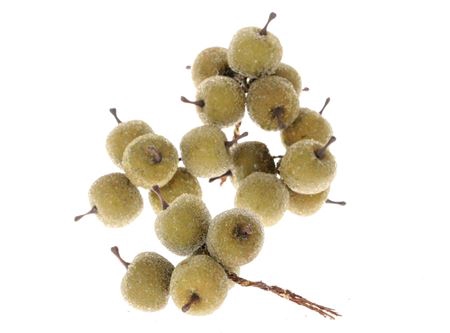 <h4>STEM APPLE 20 PCS L10D3 PER DOOS GREEN 20 STUKS</h4>