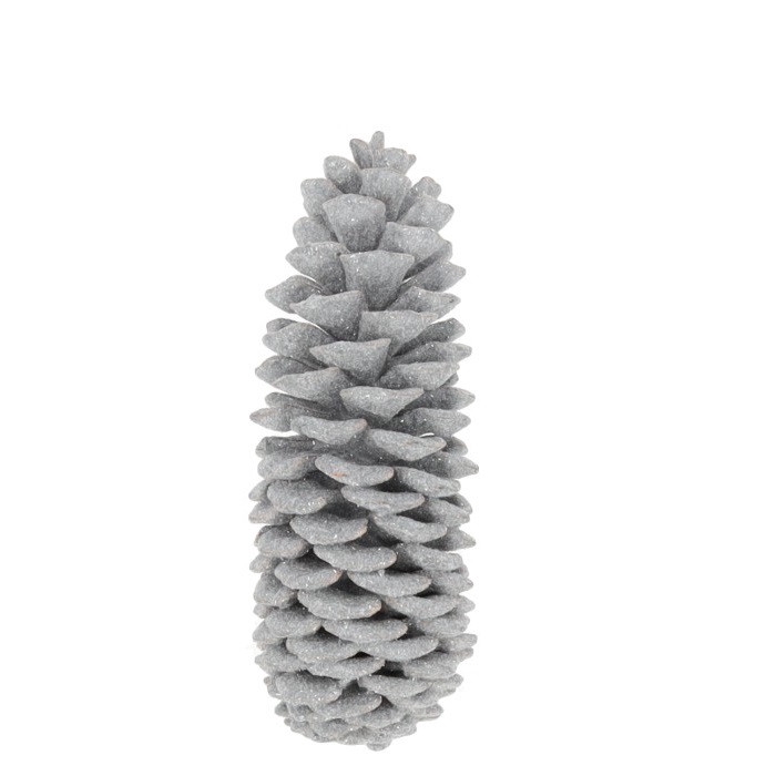 <h4>Dennenappels Sugar pine wax 35cm</h4>