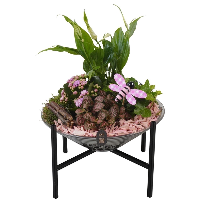 <h4>PTIG2671 ROZE GLAS OP POOTJE</h4>