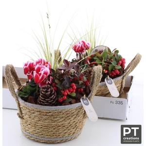 ARR TUINPLANTEN