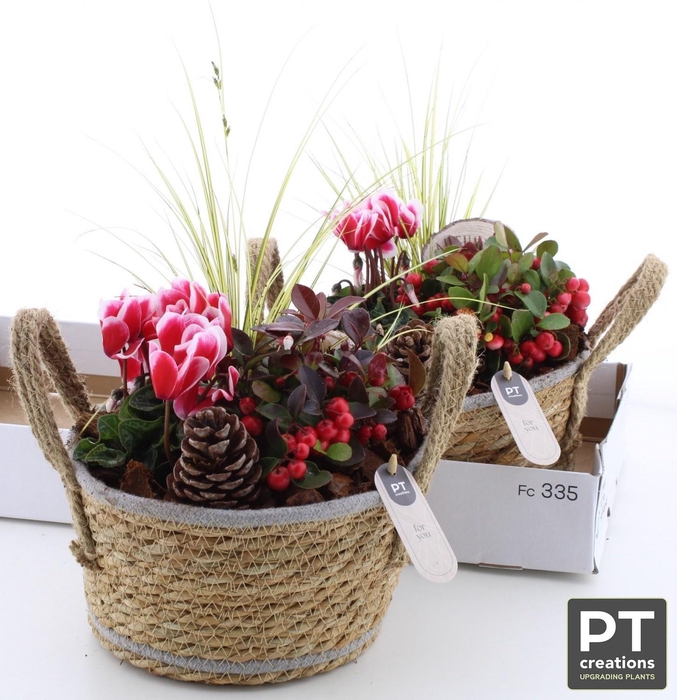 <h4>ARR TUINPLANTEN</h4>