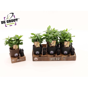 Coffea in bruikbaar To Go beker