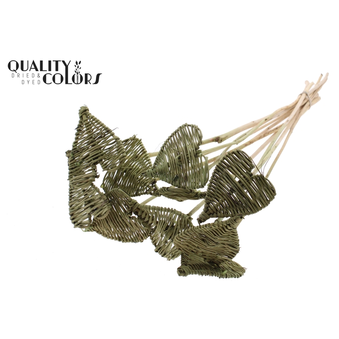 <h4>Lata Heart 8cm on stem Hat type Olive</h4>