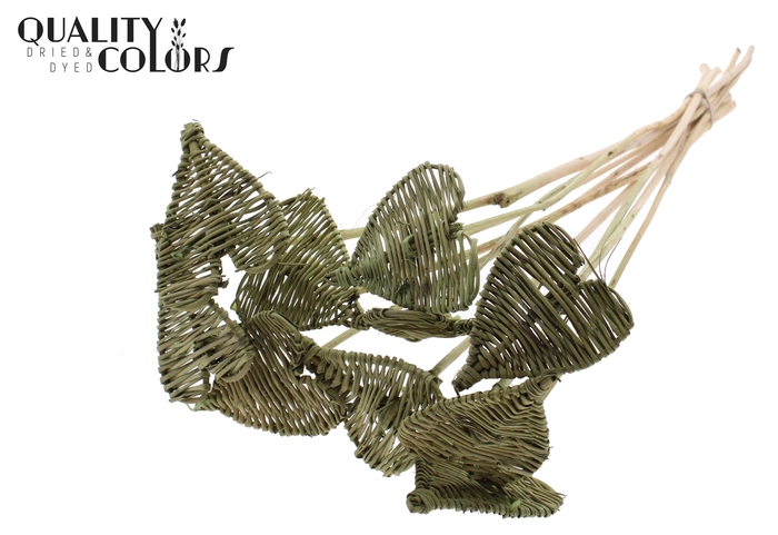 Lata Heart 8cm on stem Hat type Olive