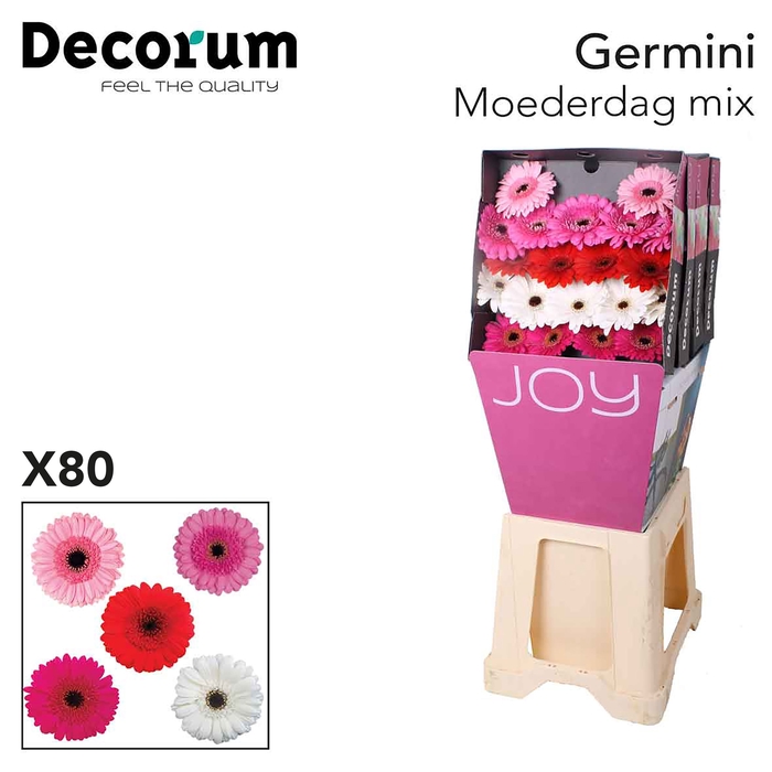 Germini Mix Moederdag Diamond