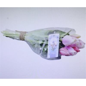 3101 Kunst Tulp L.roze