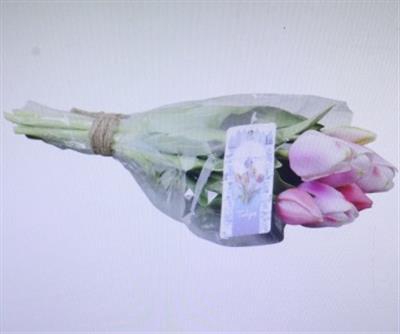 <h4>3101 Kunst Tulp L.roze</h4>