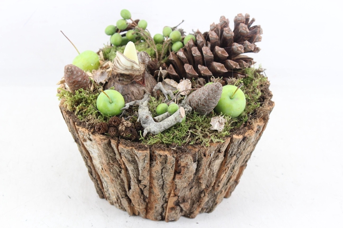 <h4>arr4 Amaryllis MB - Boomschors rond</h4>