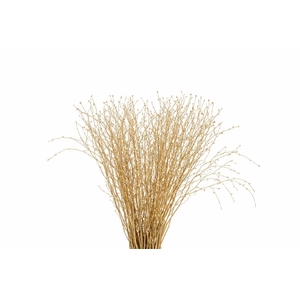Berk 70cm Gl Antiek Goud Pbs