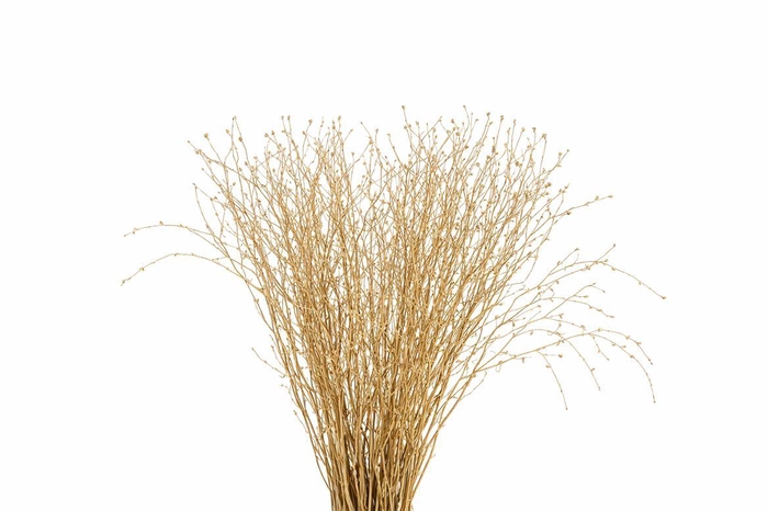 <h4>Berk 70cm Antiek Goud Pbs</h4>