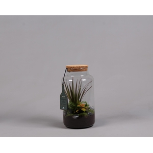 Green Bottle met Arrangement.