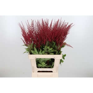 Astil Ar Paul Gaarde