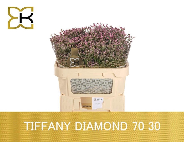 <h4>LIM SIN TIFFANY DIAM</h4>
