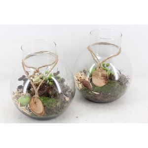 arr4 Amaryllis MB - Glas bol nek rope 285/4