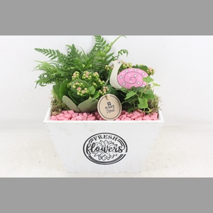 arr2 PL - Hout 4kant pot los roze