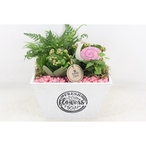 arr2 PL - Hout 4kant pot los roze