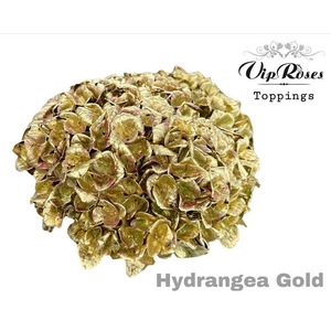 Hydr M Gold + Glitter L80cm