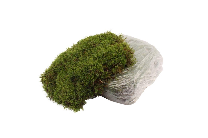 <h4>Mos Platmos ( Plastic Zak ) 0.48m2</h4>