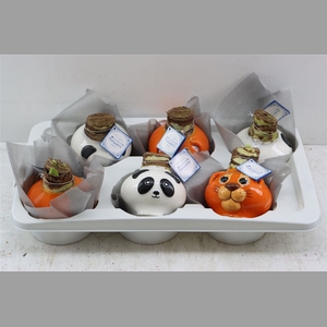 Wax Hipp Panda Super Mix