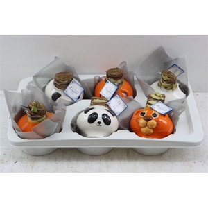 Wax Hipp Panda Super Mix