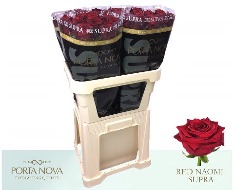<h4>R GR RED NAOMI! SUPRA 80 997 #50</h4>