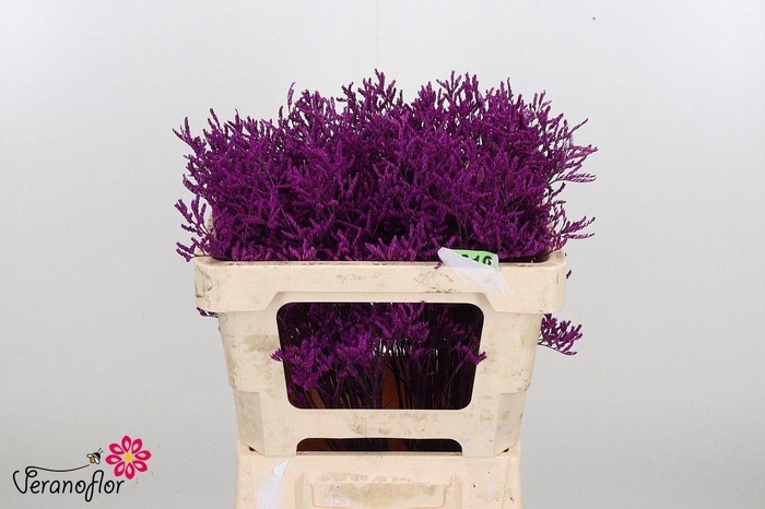 <h4>LIM OV KLB H%</h4>