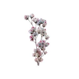 Dried Artz Bougainvillea Rubens Bunch