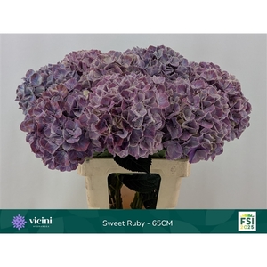 Sweet Ruby - 65CM
