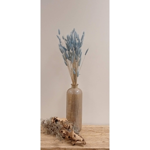 DRIED LAGURUS BLEACHED LIGHT BLUE PB