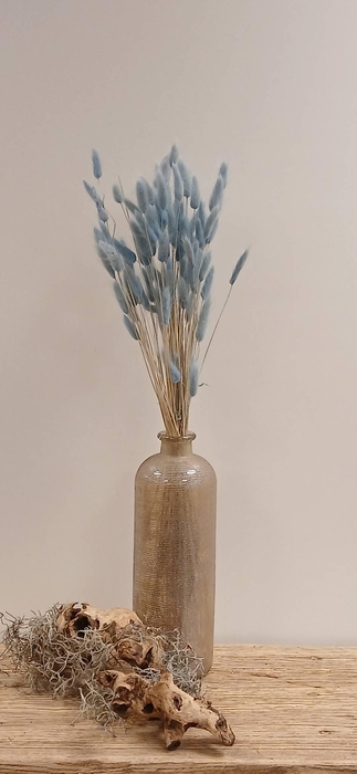 <h4>DRIED LAGURUS BLEACHED LIGHT BLUE PB</h4>
