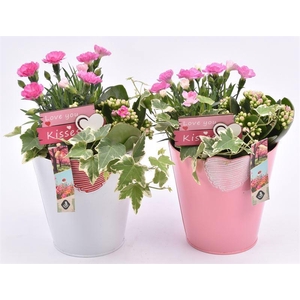 Zink emmer met oor gy. 16cm