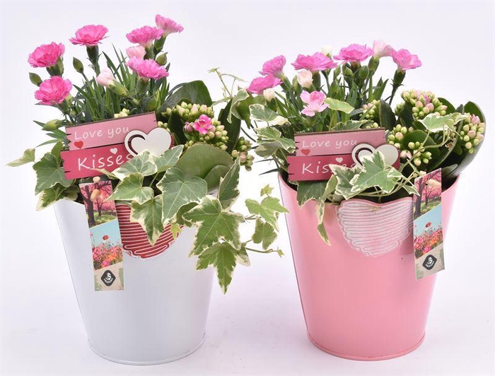 <h4>Zink emmer met oor gy. 16cm</h4>