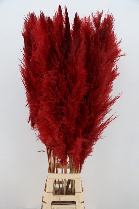 <h4>DROOGBL BEWERKT H%</h4>