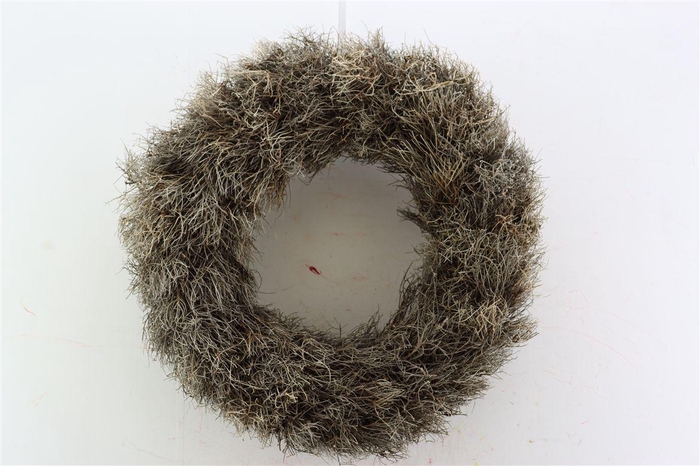 <h4>Wr Iron Grass 60cm</h4>